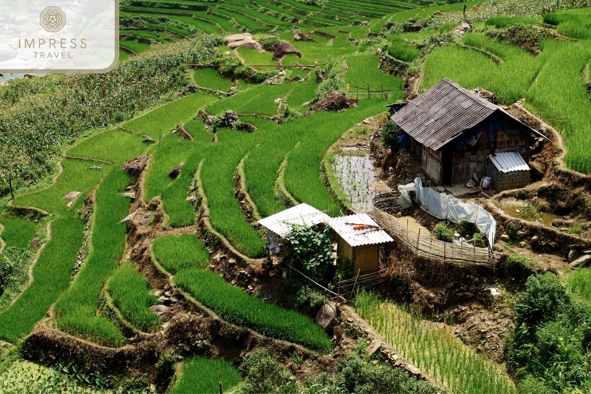 Ban Khoang Village in Sapa Slow Tours