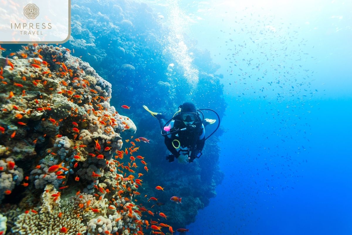 Snorkeling Adventure