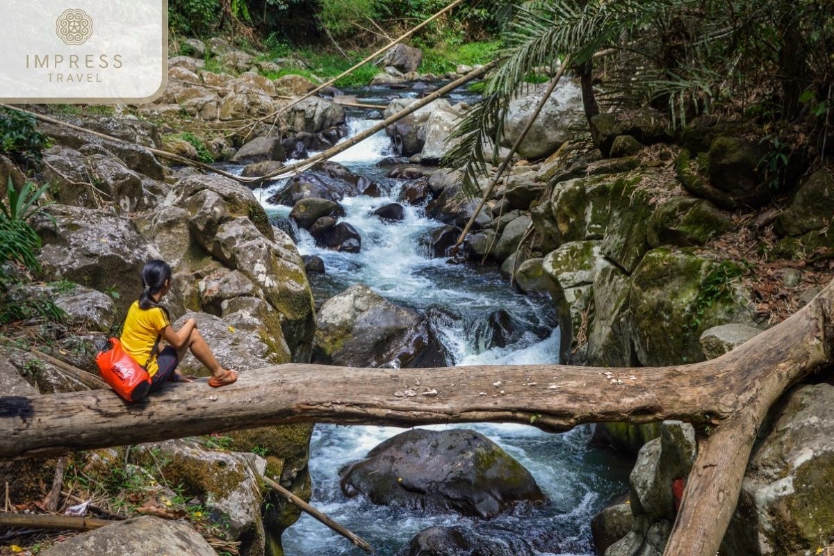 Son Tra Mountain Stream Trail