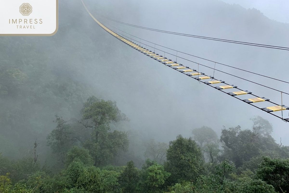 Suspension Bridge in Sapa Trekking tours