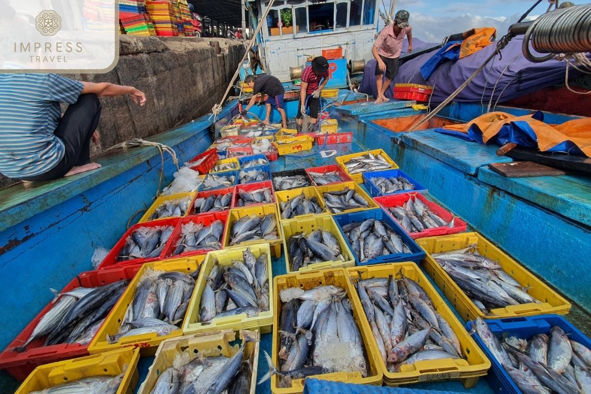 Fishing activities in Eco Tourism in Ben Tre, Mekong