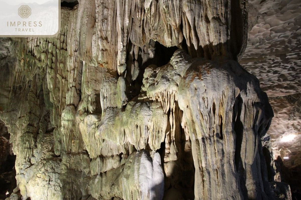 Beautiful stalactites in The Mystique of Dau Go Cave