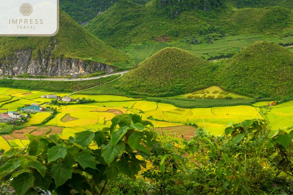 Twin Mountains in Ha Giang Lush Tours