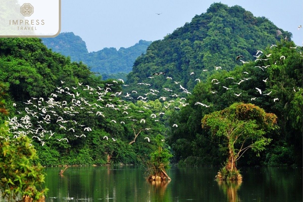 Thung Nham Bird Park in Ninh Binh Moped tours