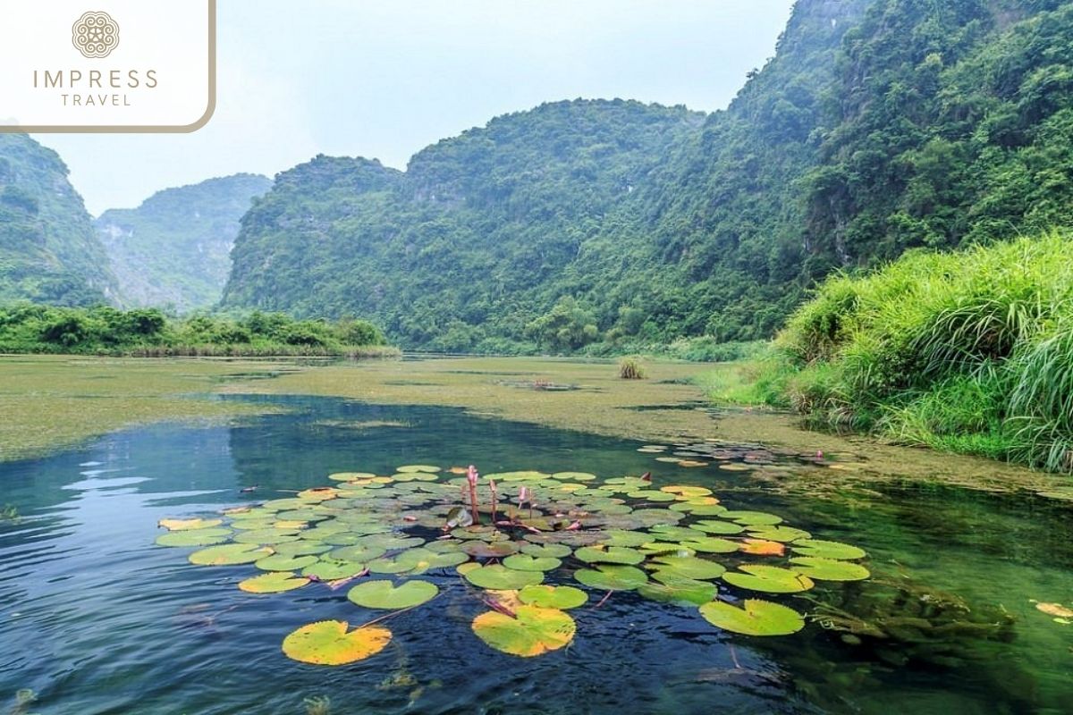 Scenic Landscapes in Ninh Binh Moped tours