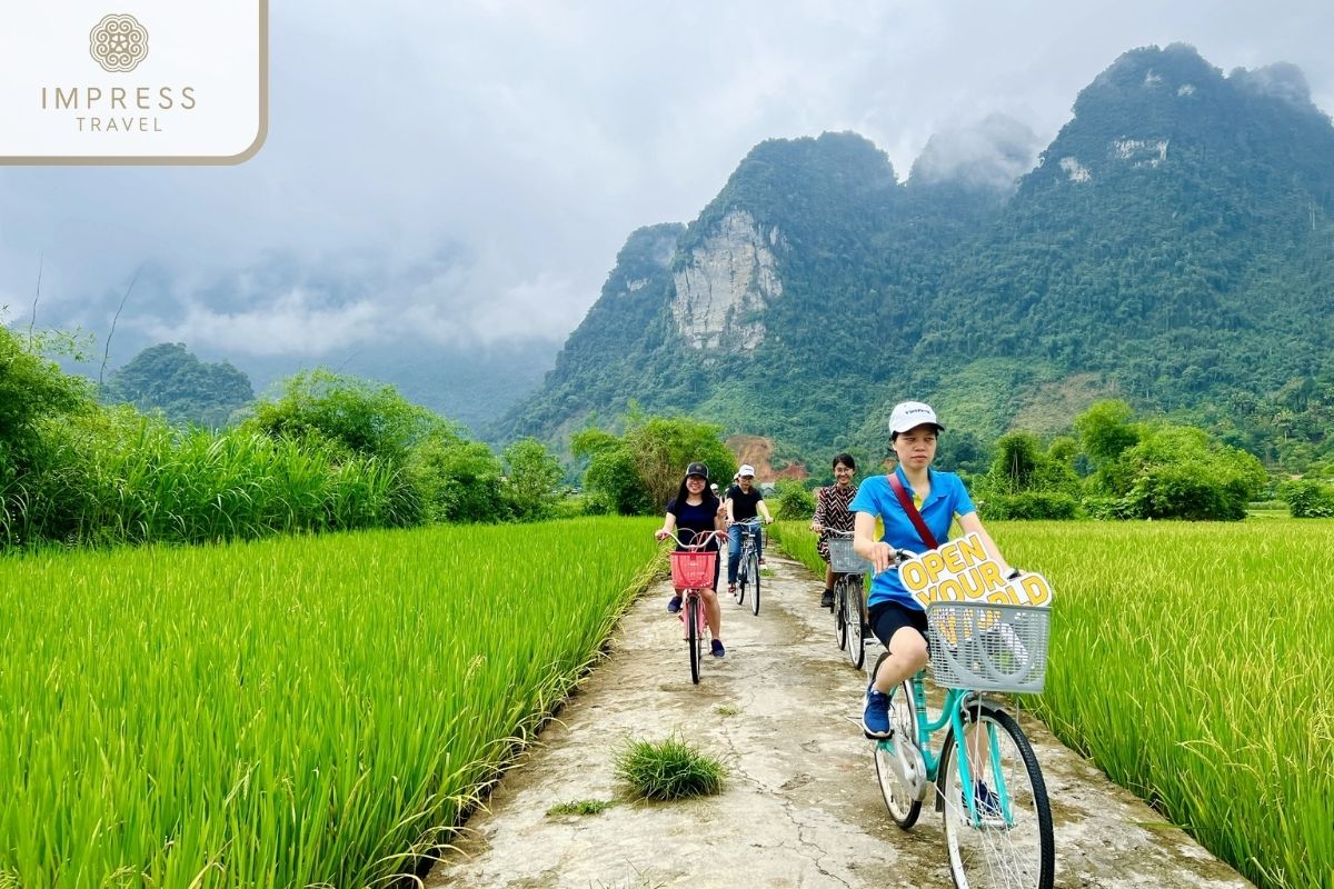 Cycling through rice fields