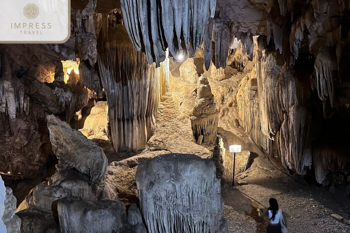 Unique stalactites in Ninh Binh Adventure Tours