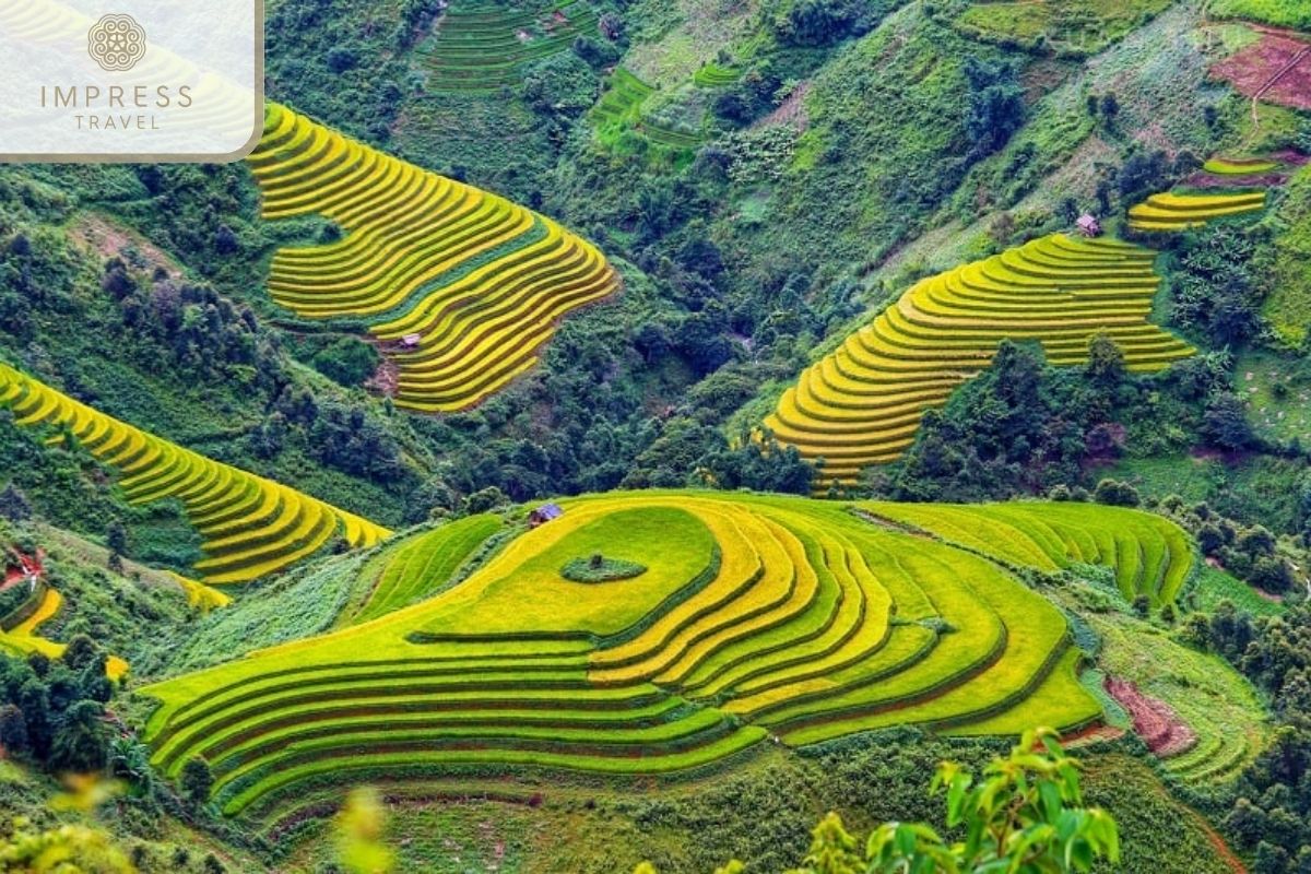 Aeris Hill For Mu Cang Chai Amusement Tours 