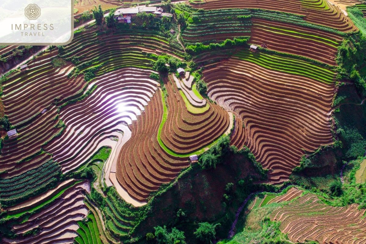 Aeris Hill on your Mu Cang Chai Amusement Tours