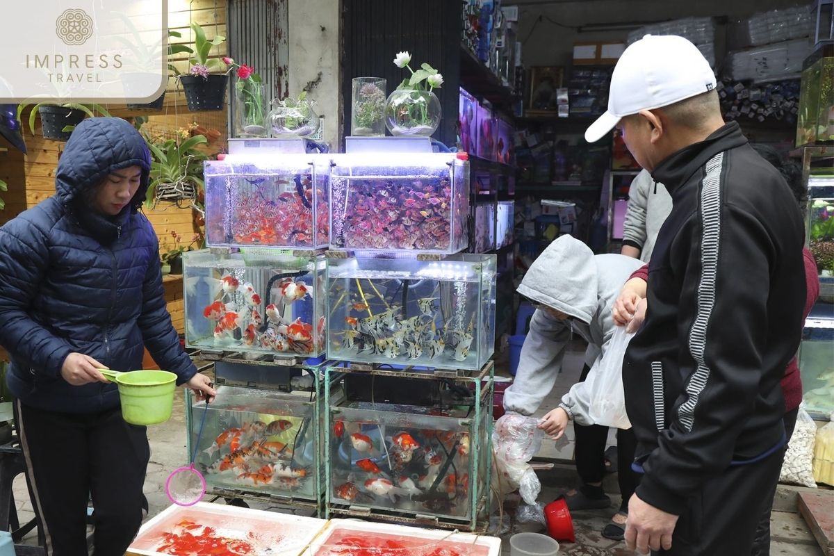 Discover Buoi Market, a cultural gem on Hanoi street food tours