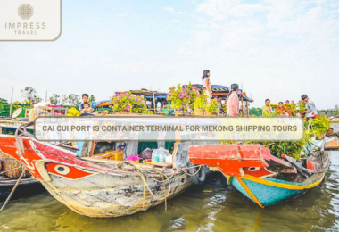 Cai Cui Port Is Container Terminal For Mekong Shipping Tours