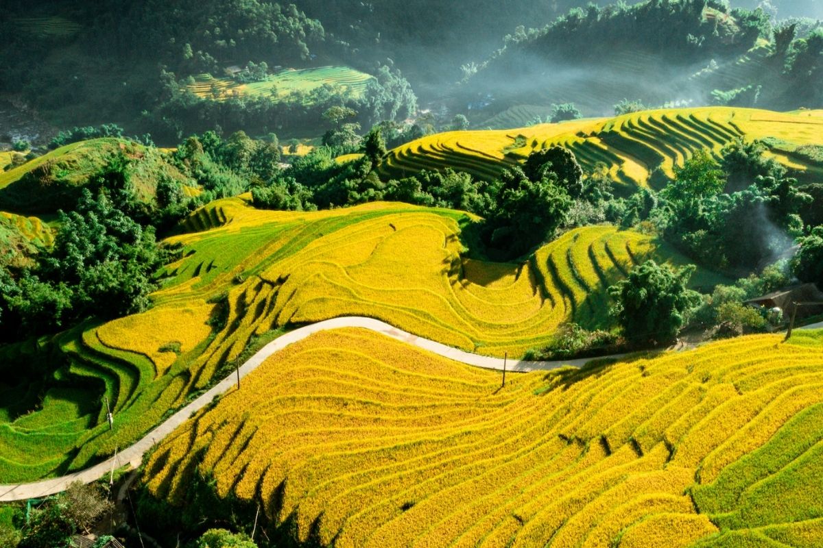 Cat Cat Waterwheels Is Scenic For Sapa Rural Feeling Tours 