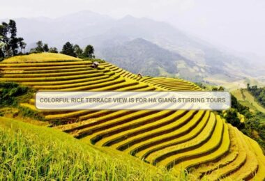 Colorful Rice Terrace View Is For Ha Giang Stirring Tours