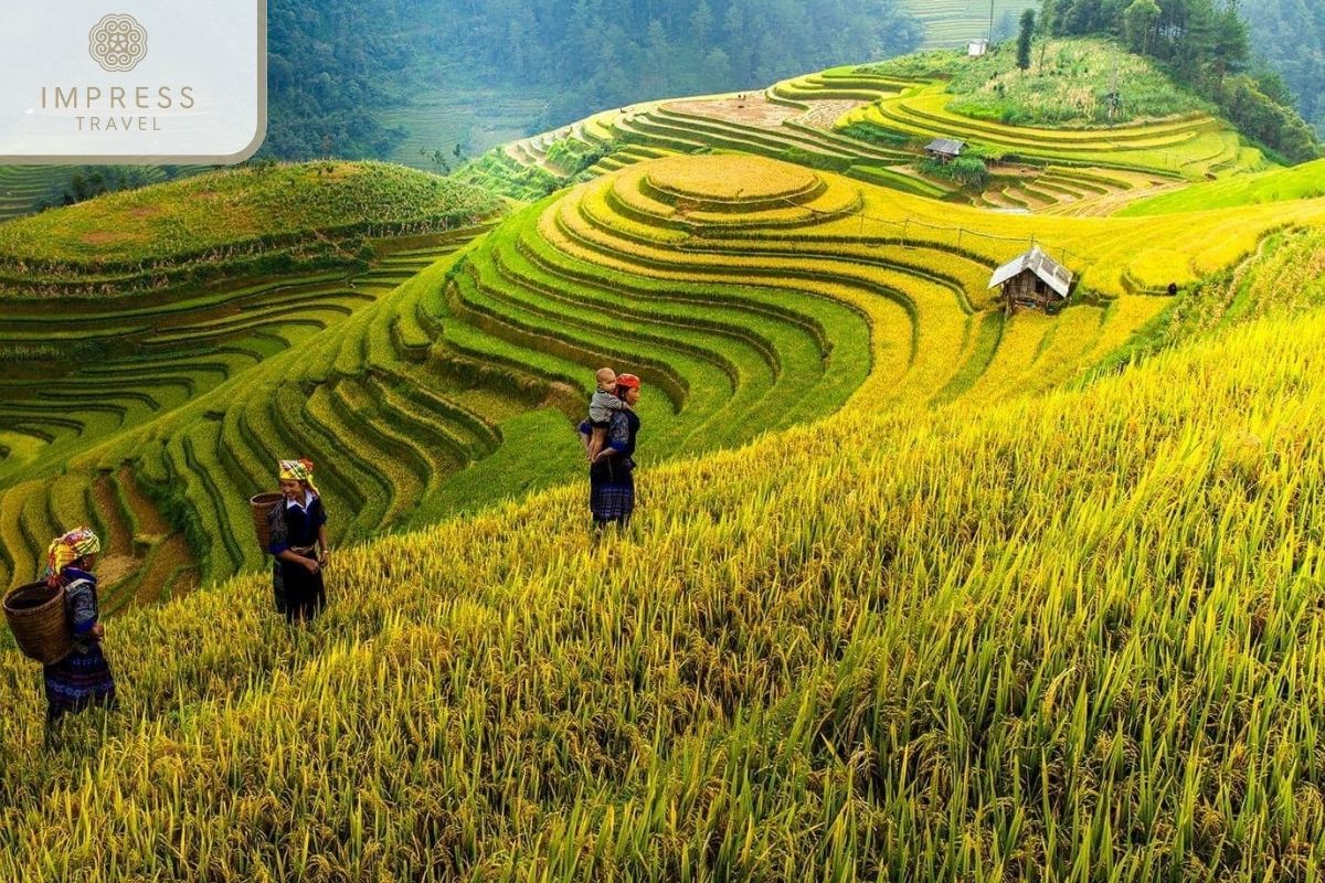 Landmark For Mu Cang Chai Cultural Tours 