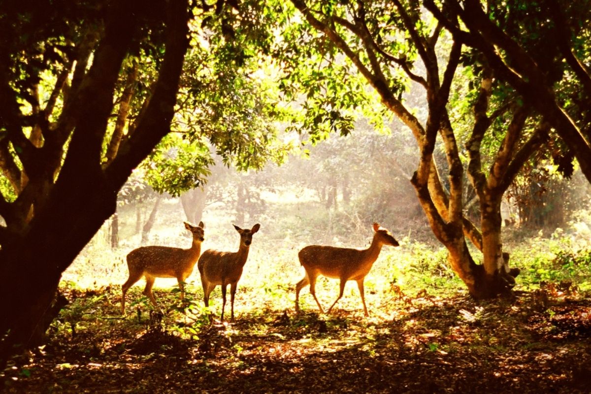 National Park For Ninh Binh Wild Tours 