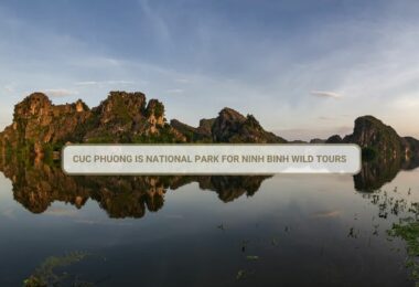 Explore Cuc Phuong National Park with Ninh Binh Wild Tours