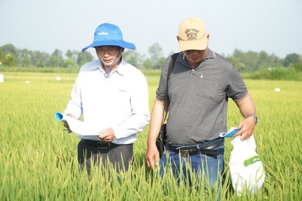  Institute For Mekong Research Tours 