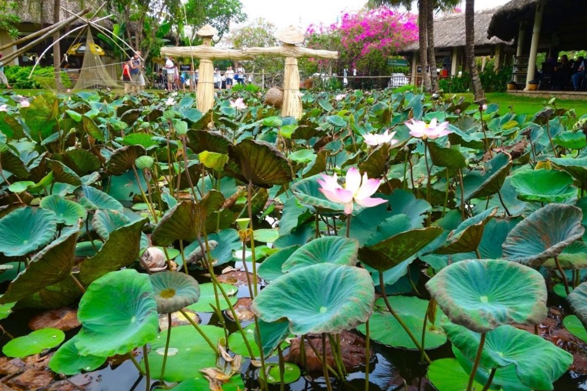 District 9 Is Former Urban City For Ho Chi Minh Outer Tours