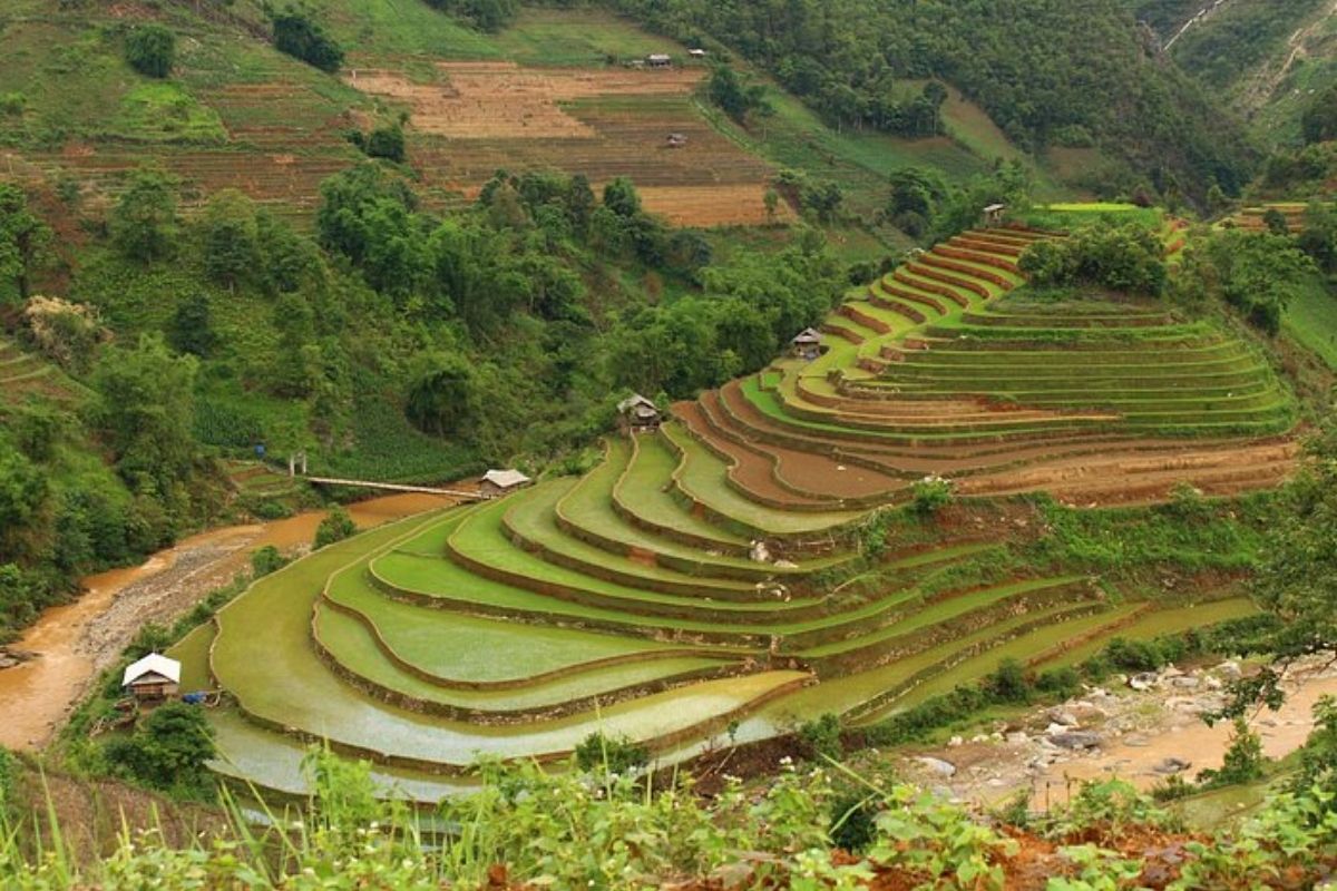 Homestay For Mu Cang Chai Superb Tours