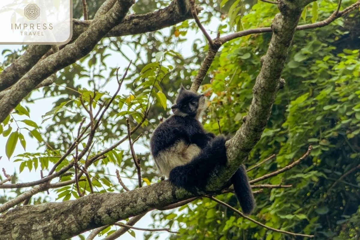 Center For Ninh Binh Rescue Tours 