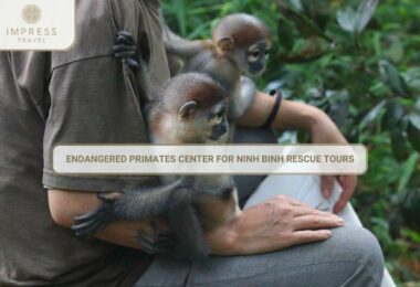 Endangered Primates Center For Ninh Binh Rescue Tours