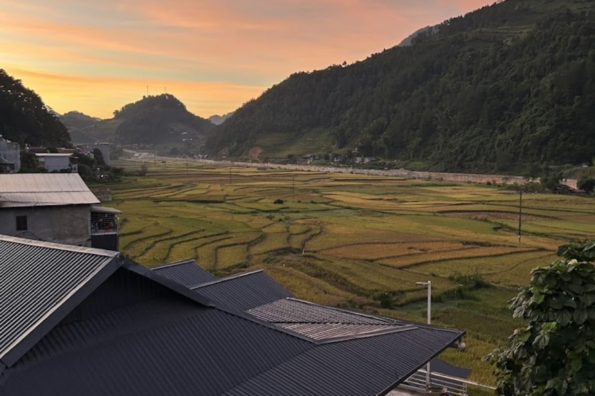 Discover stunning rice fields with Mu Cang Chai affordable tours