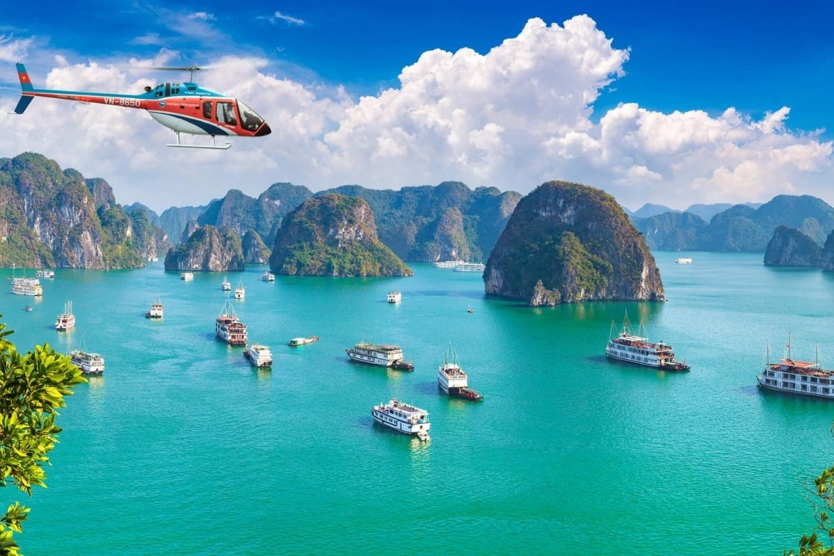 Explore Halong Bay’s hidden underwater beauty with Halong Submerge Tours.