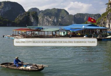 Explore Halong Bay’s hidden underwater beauty with Halong Submerge Tours.