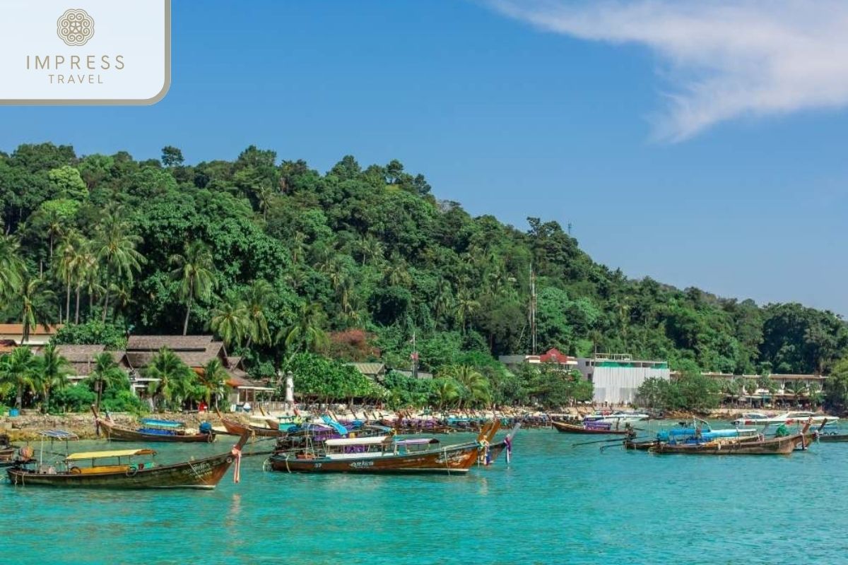 Discover Ham Ninh on Phu Quoc Island Tours