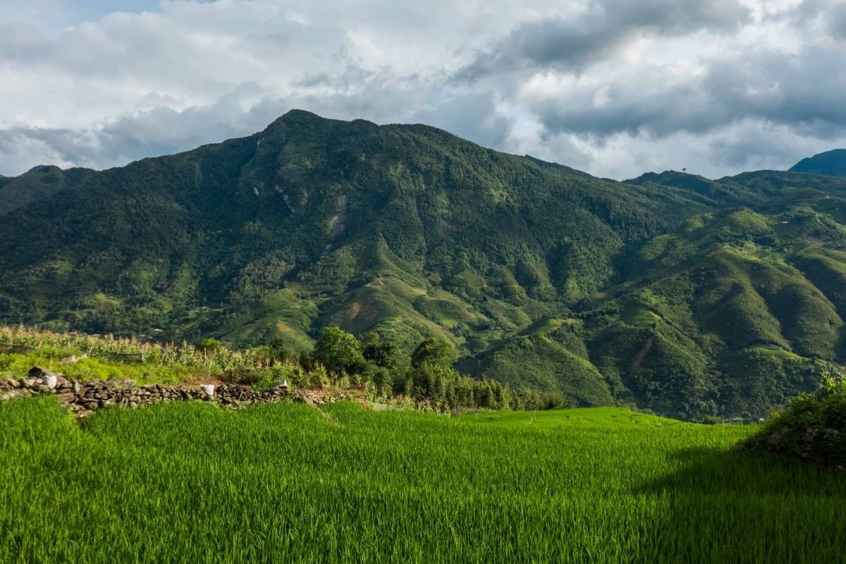 Commune Of Hmong Land For Sapa Ethnic Tours 