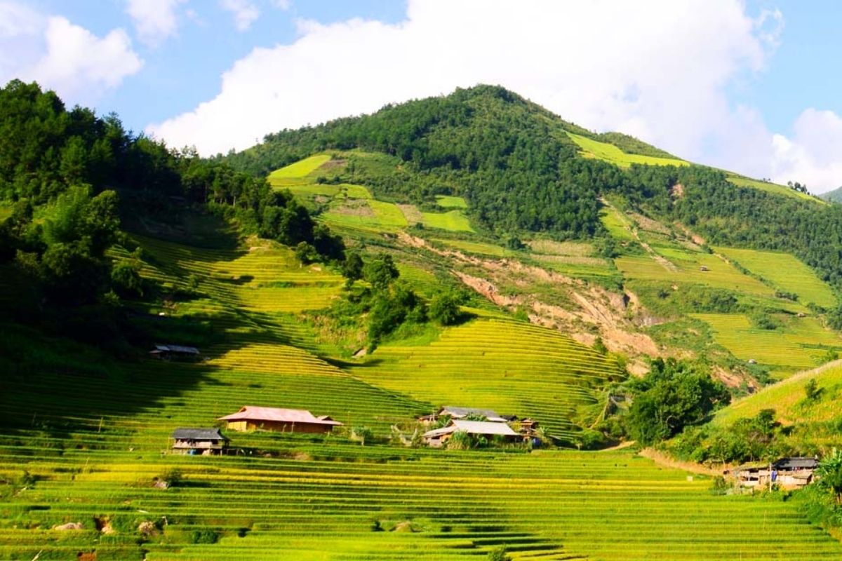  Homestay For Mu Cang Chai Cozy Tours 