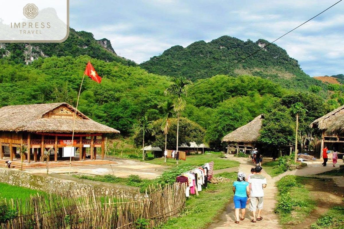 Discover tranquility with Mai Chau Camping Tours