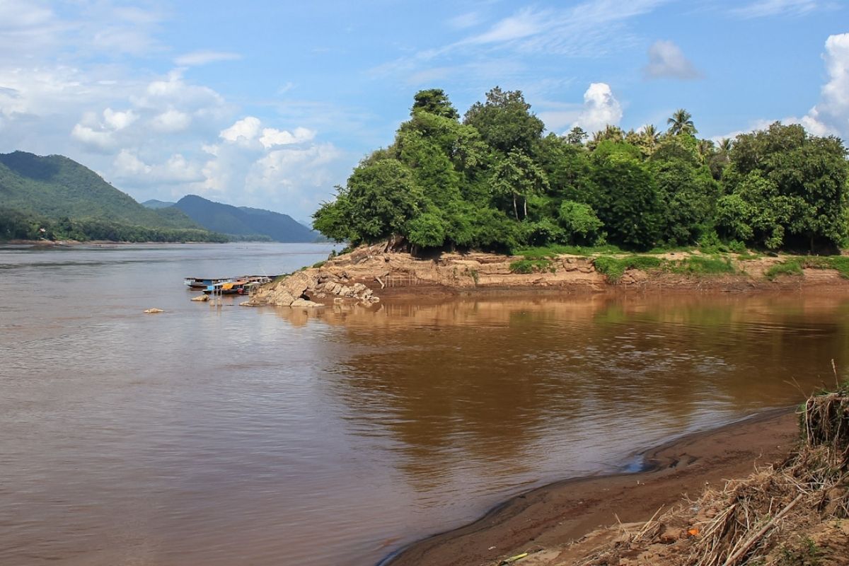 Mekong River Fish Sanctuary Is Retreat For Mekong Tours 