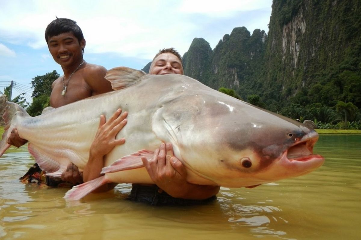 Discover the wonders of the Mekong River with Mekong Tour