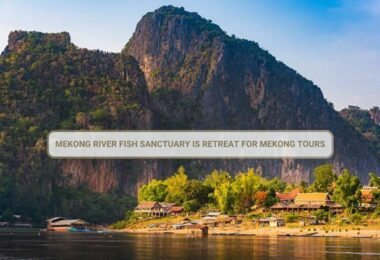 Mekong River Fish Sanctuary Is Retreat For Mekong Tours