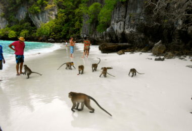 Monkey beach in Phuket