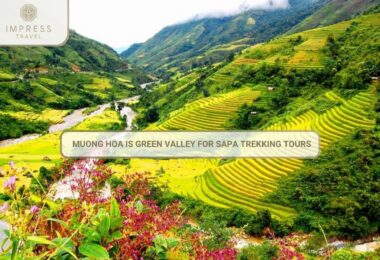 Green Valley For Sapa Trekking Tours