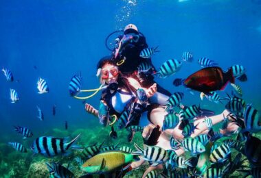 Nha Trang Snorkeling