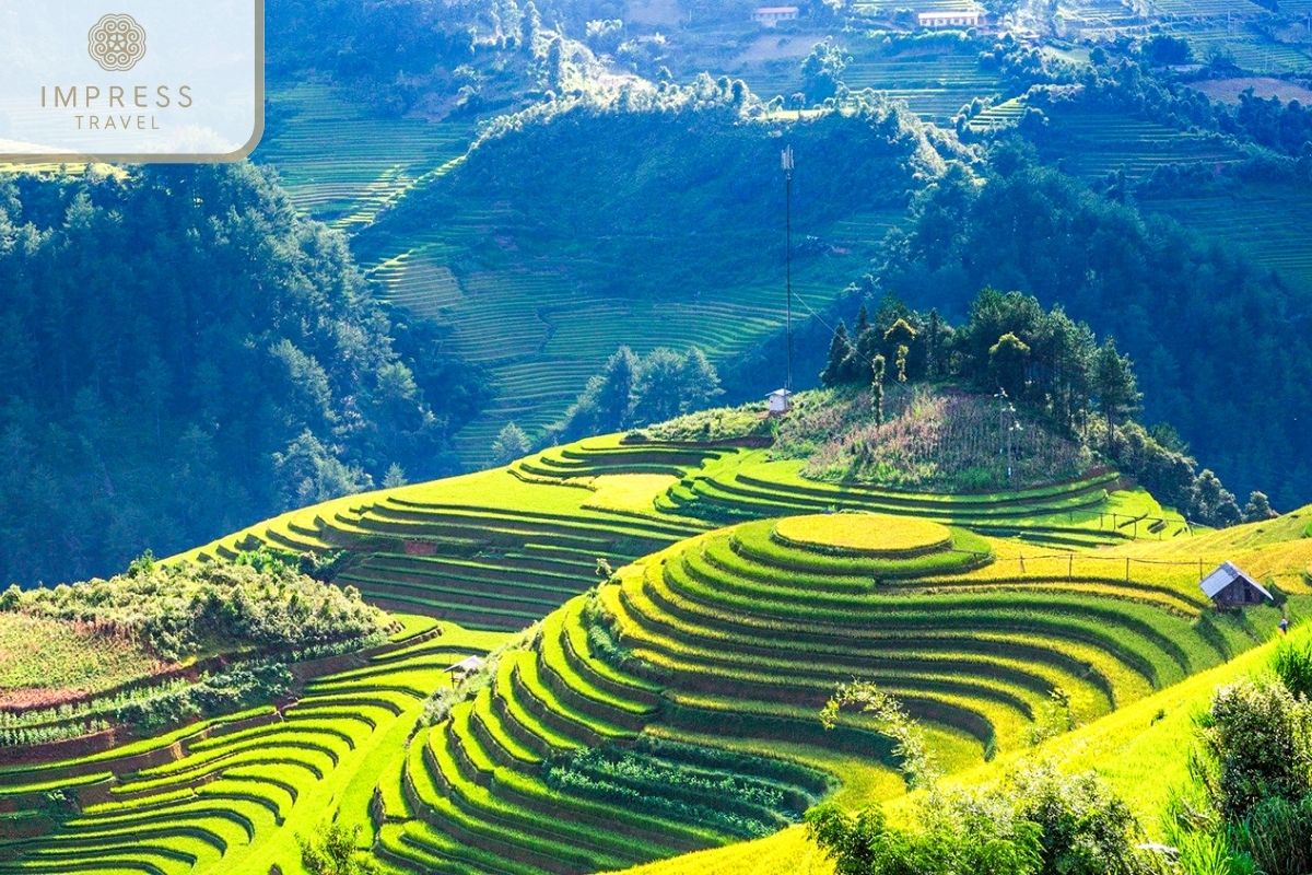 Mountain For Mu Cang Chai Hike Tours 