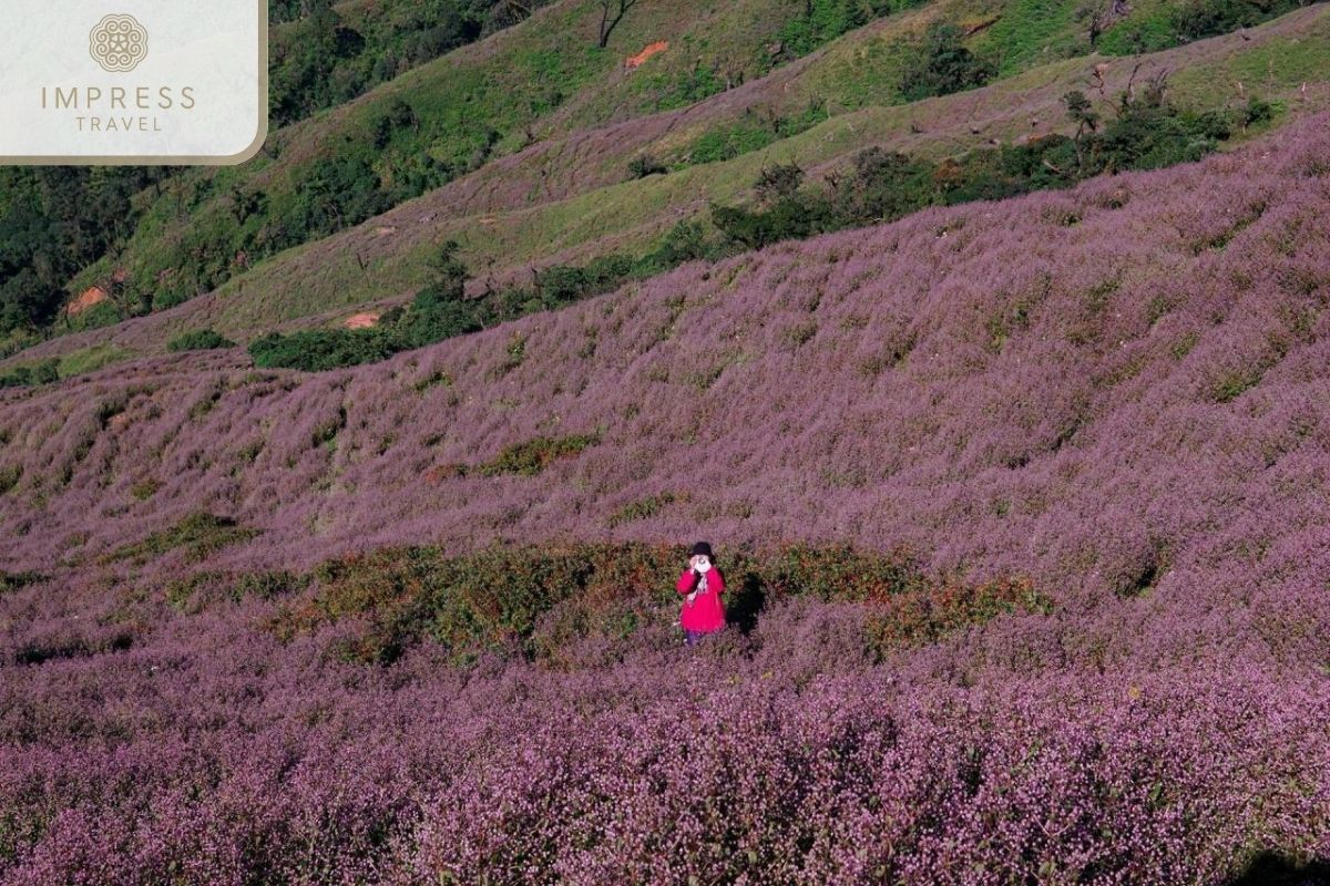 Nui Pu Chum Huot Is Mountain For Mu Cang Chai Hike Tours