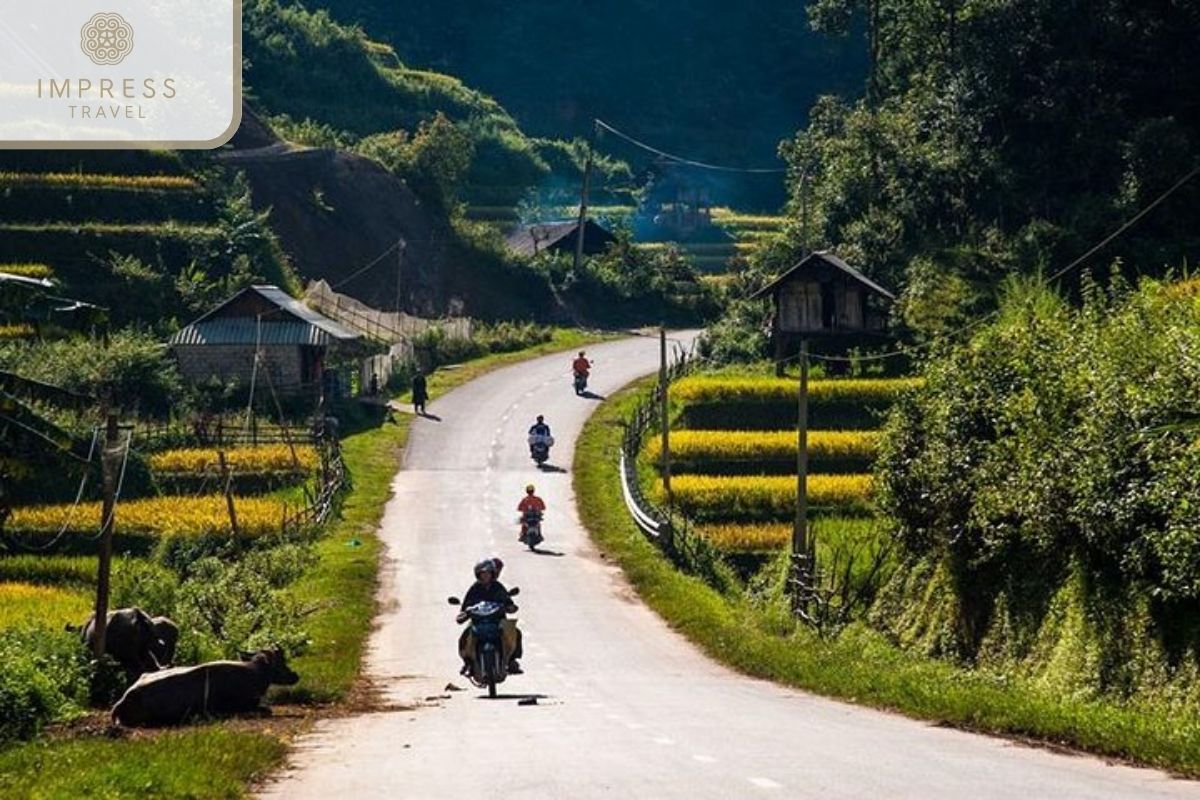 Mountain For Mu Cang Chai Hike Tours 