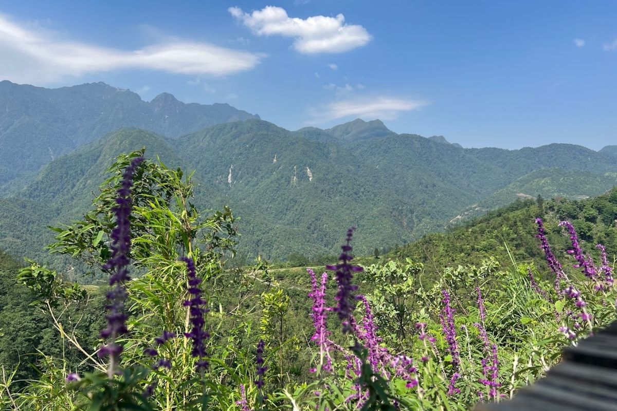 Po Mu Is Natural Garden For Sapa Authentic Tours 