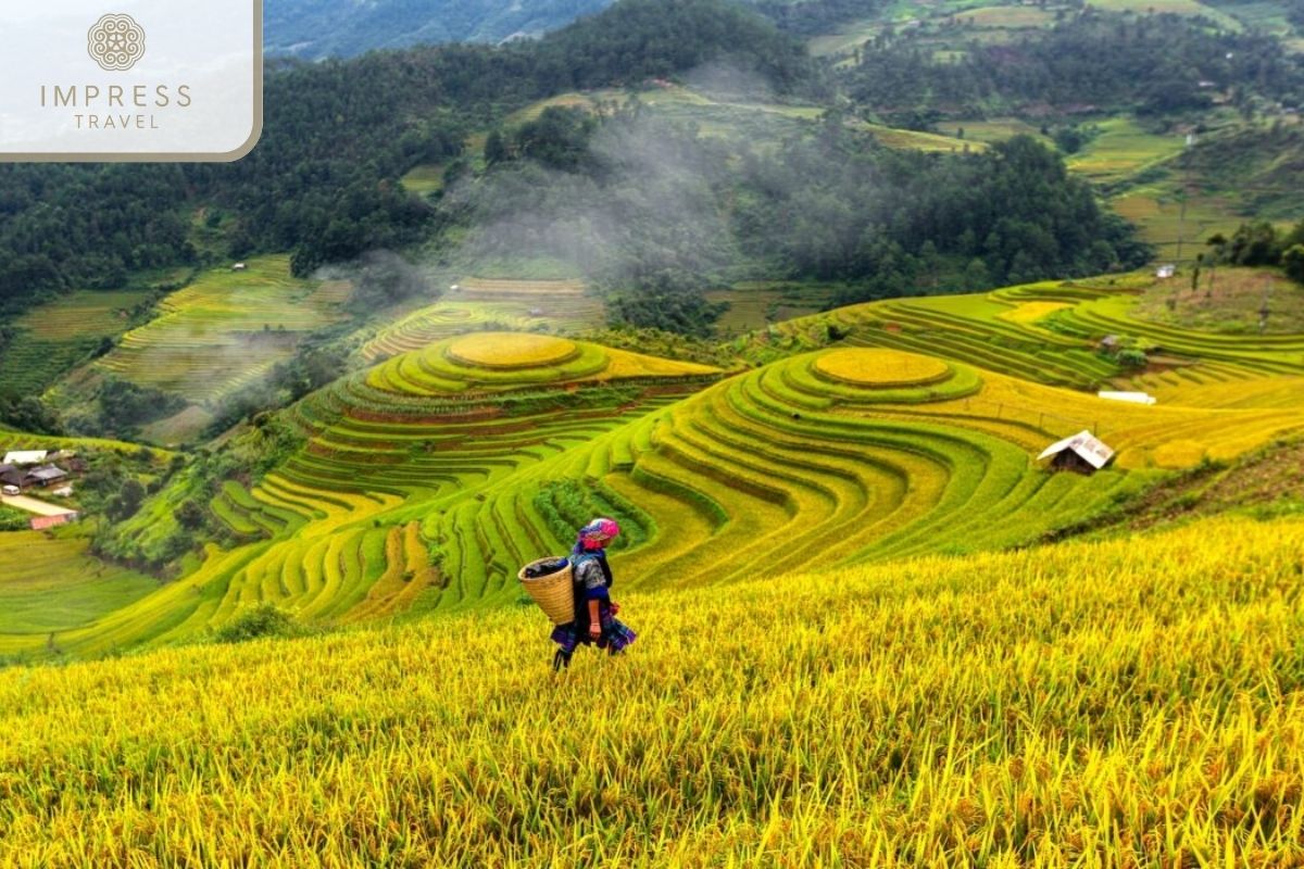 Sapa Gallery Tours at the Sapa Ancient Stone Field