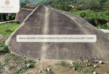 Sapa Ancient Stone Is Rock Field For Sapa Gallery Tours