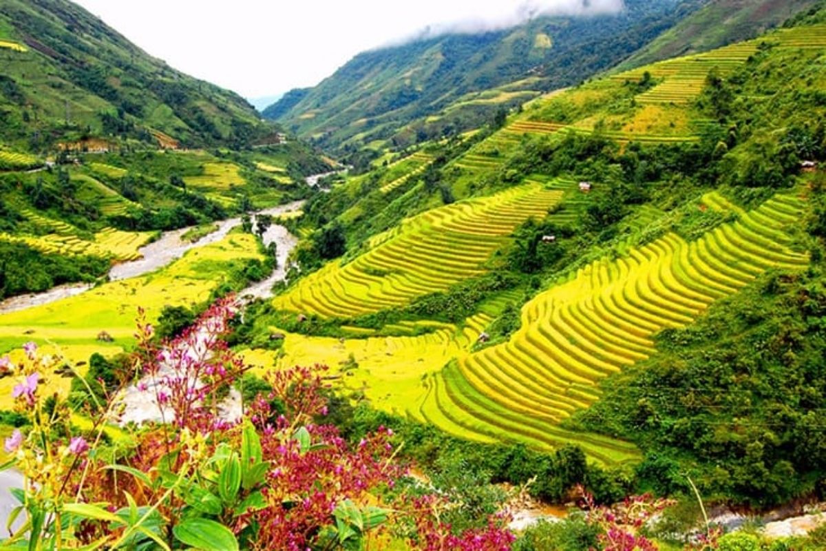 Sapa Town For Sapa City Tours