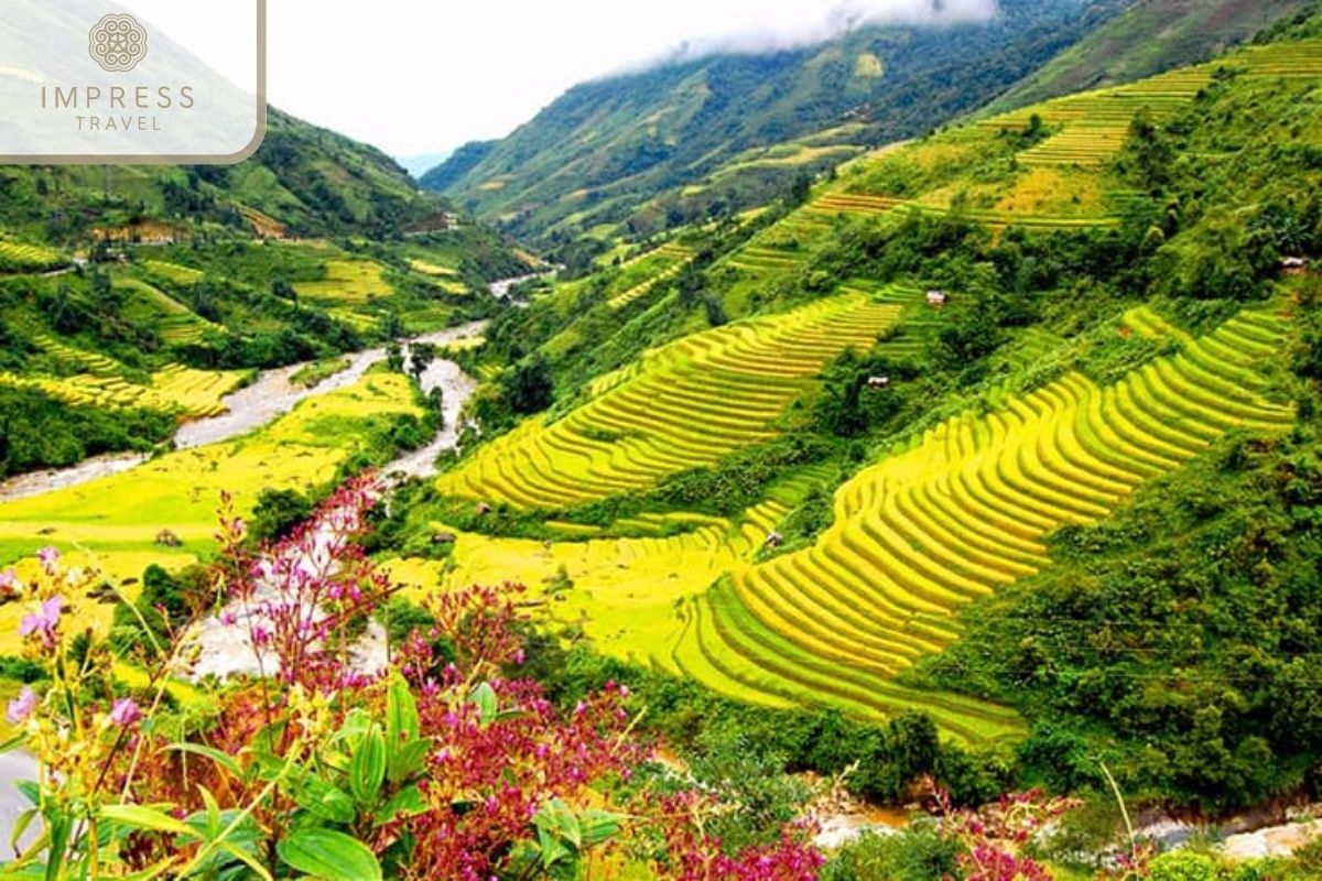 Explore the beauty of Sapa Town with unforgettable Sapa City tours