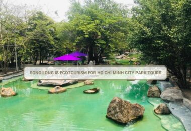 Ecotourism For Ho Chi Minh City Park Tours