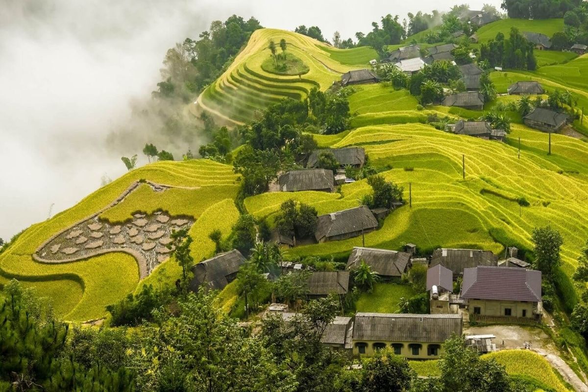 Discover Ta Phin Ho, the gem of Ha Giang Scenic Tours