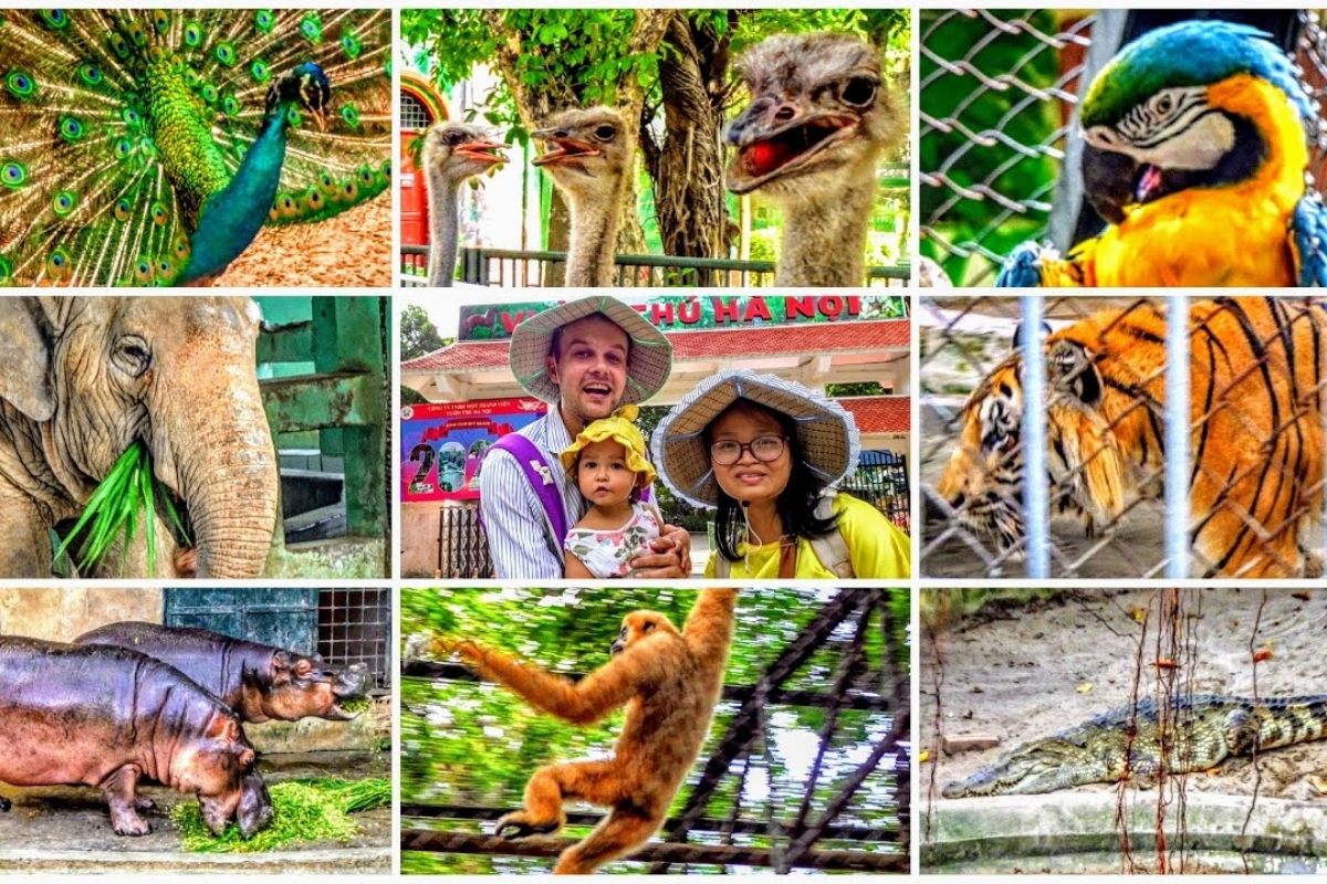 Thu Le Zoo Is Refuge For Hanoi City Zoological Tours 