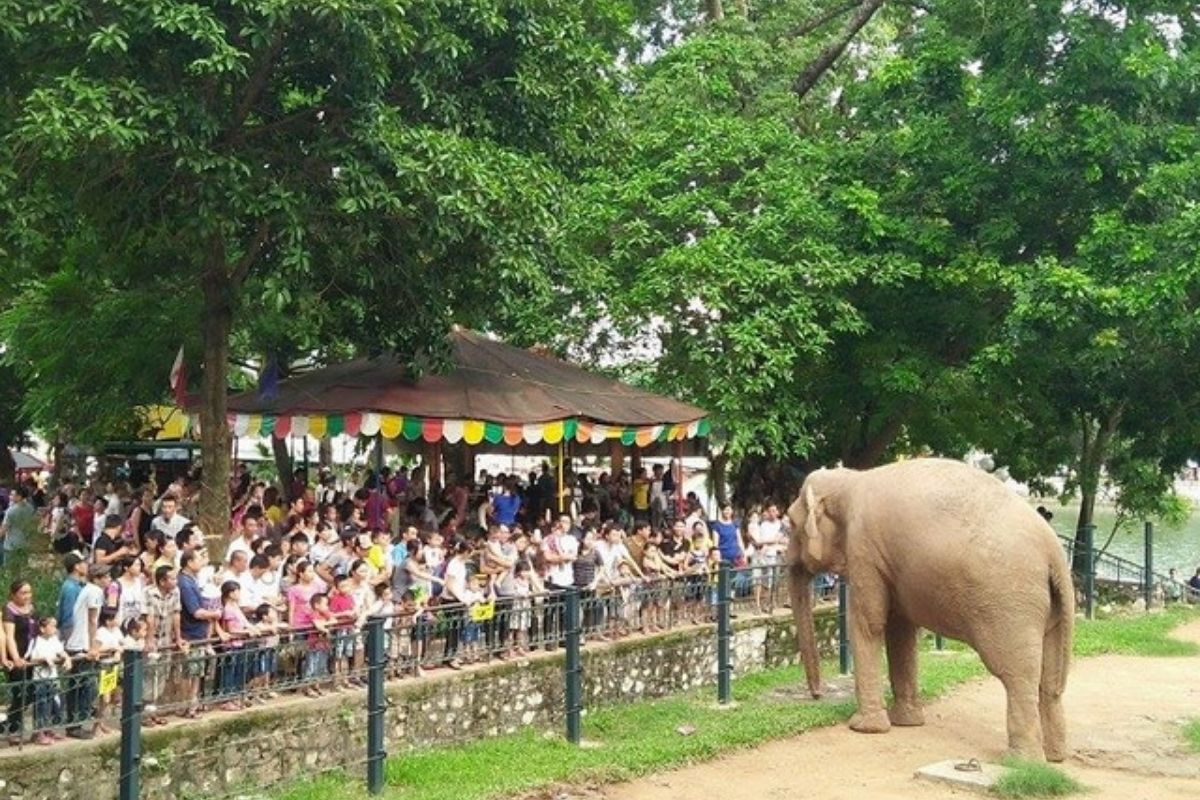 Explore Thu Le Zoo, the heart of Hanoi City zoological Tours